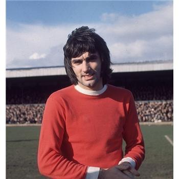 布朗尼作为 布朗尼作为